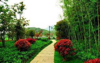 贵州园林绿化的卓越优势 生态与施工的和谐共生