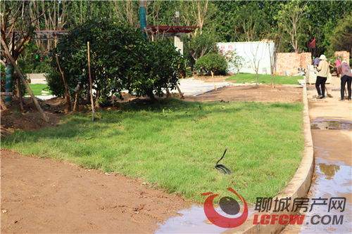 匠心雕琢，家音将至 | 7月13日华建1街区园林绿化工程播报