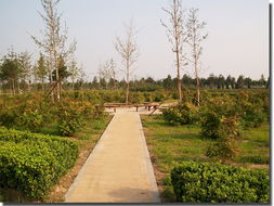 河北邯郸绿德金园林绿化工程公司 专业打造河北园林绿化、施工与工程一体化解决方案