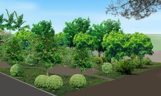 城市园林环保绿化工程中的植物养护策略探析